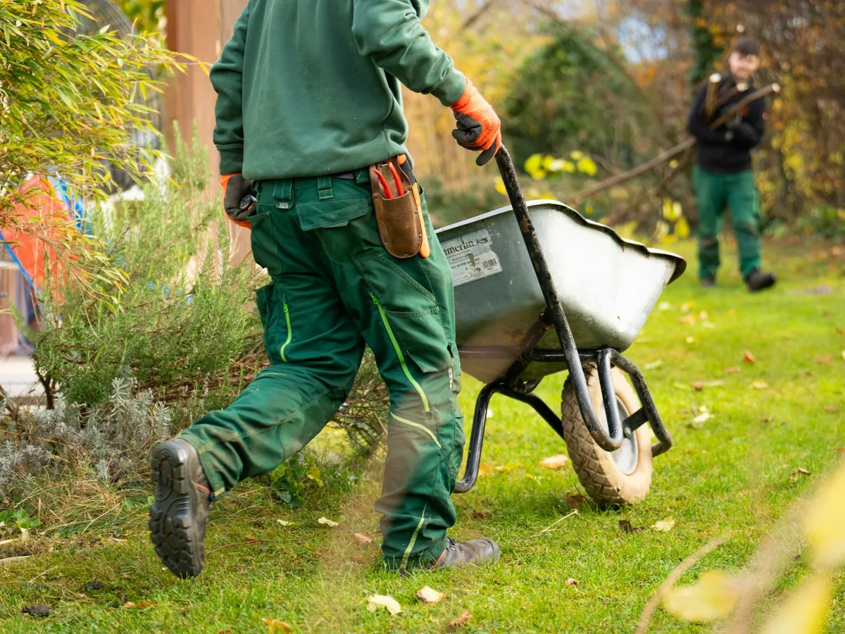 Yard Cleanups
