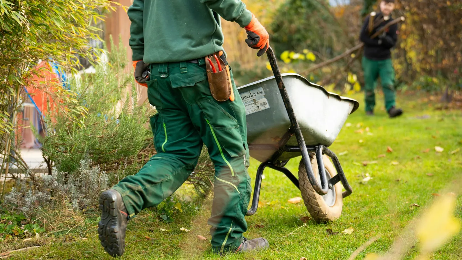 Yard Cleanups