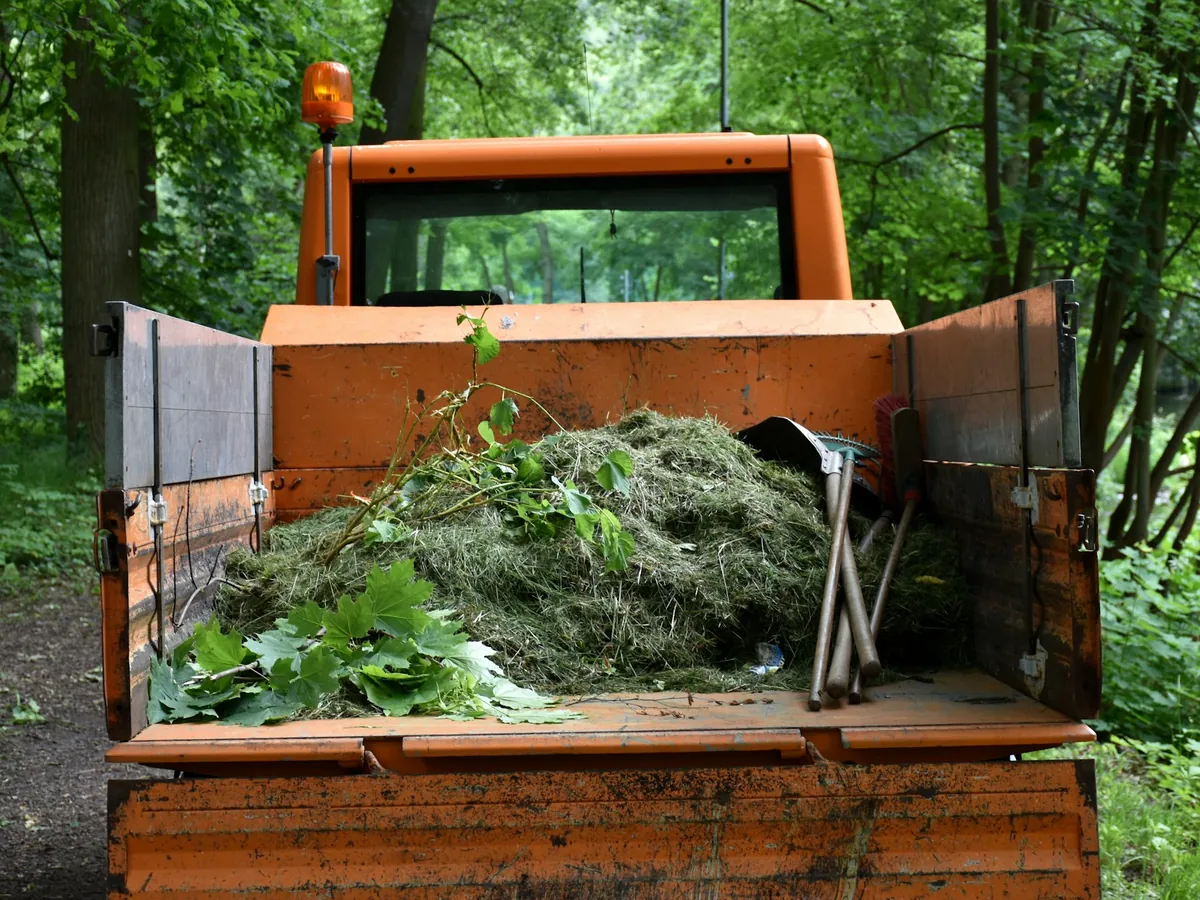 Yard Debris Removal