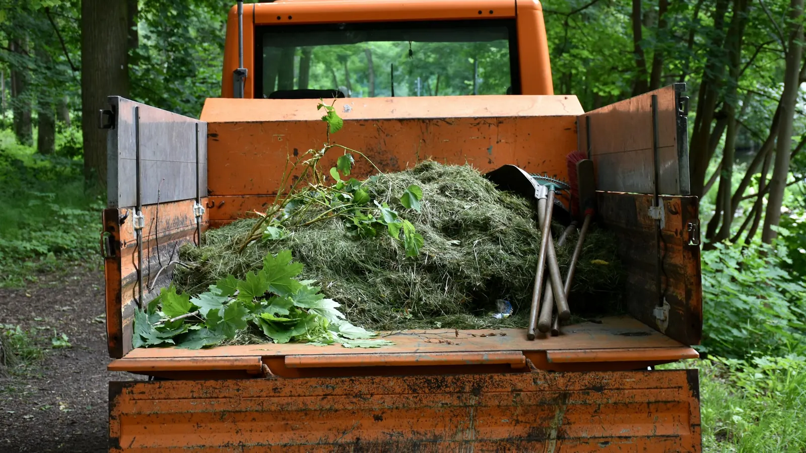 Yard Debris Removal